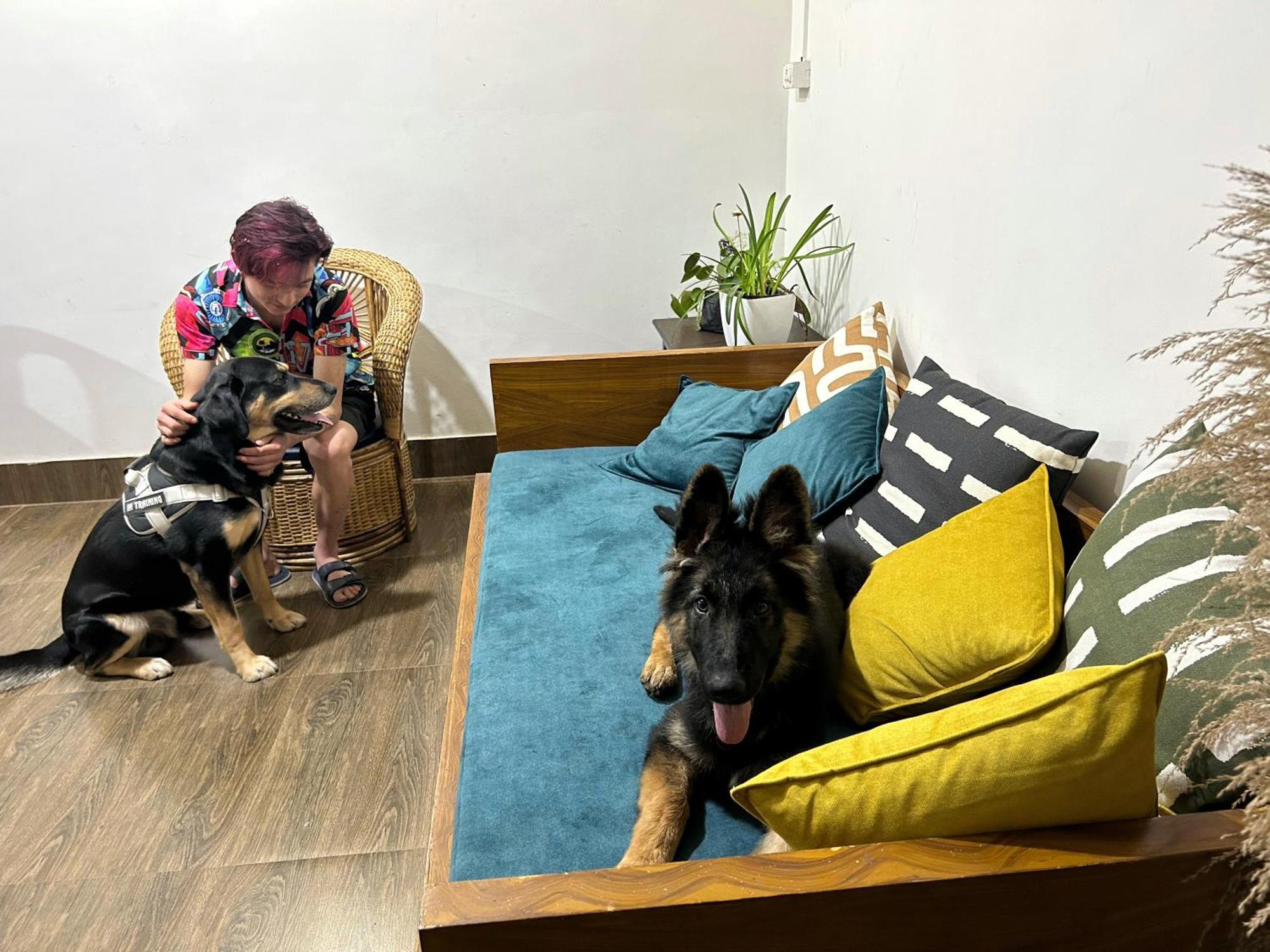 House Of Nomad Hostel Гангток Екстериор снимка